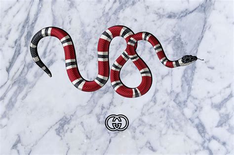 gucci flower snake guangdong|gucci snakes.